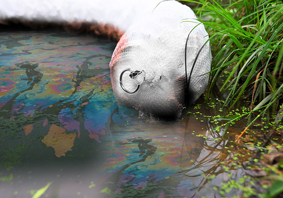 waste sock boom in water